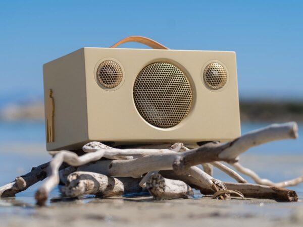 Audio Pro T3+ Peter Eugén elegant portable speaker features the artist’s signature style