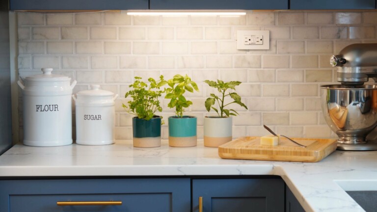 Soltech Grove LED bar plant light adds elegance to your space and helps plants grow