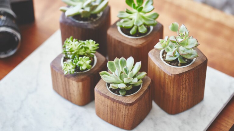 Grovemade Wood Planter comes with a detachable brass cup for your stationery essentials