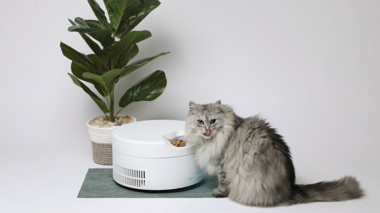 Refrigerated Smart Pet Feeder keeps food fresh all day long without any ice packs