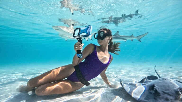 ProShot Dive Case & Red Filter Pack for iPhone enhances your underwater adventures
