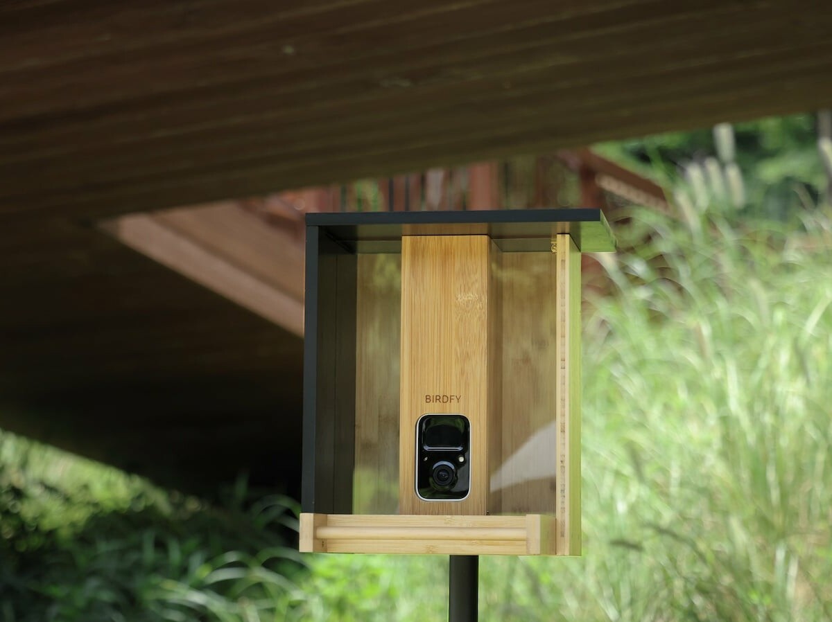 Netvue Birdfy: AI bamboo Bird Feeder by Birdfy on Gadget Flow
