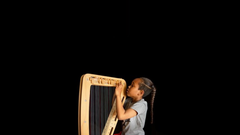 Harp-E portable electro acoustic harp is flat-packed and produces stage-quality sound