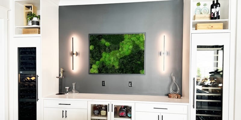 Moss Pure Review: Stunning moss wall art that purifies the air