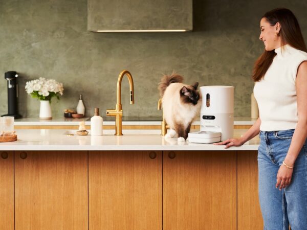 Smart Pet Feeder: Smart Pet Feeder with Scale and Notifications by Pawsync on Gadget Flow