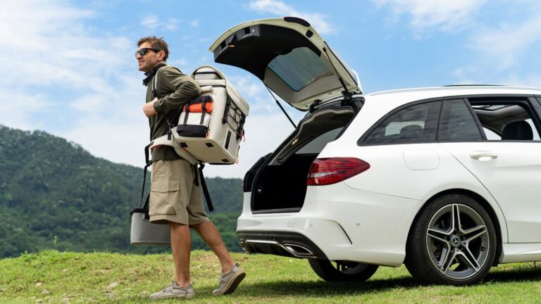 LiTHELi 12V Portable Car Fridge Freezer, 21QT Electric Cooler with Battery Power