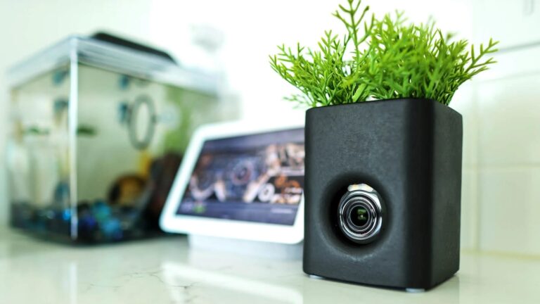 Wyze Cam Vase: Reliable Security with Style, Built-in Camera Access, and Ideal Viewpoints