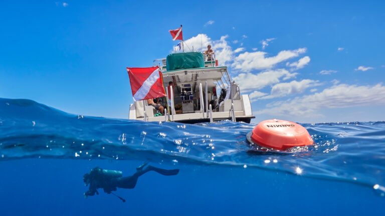 Garmin Descent S1 Buoy: Diver Communication with Sonar Networking for up to 8 Divers