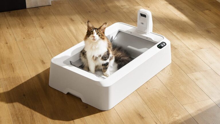 PETKIT Purobot Crystal Duo: Automatic Litter Box with AI Cam for Urinary Health Monitoring