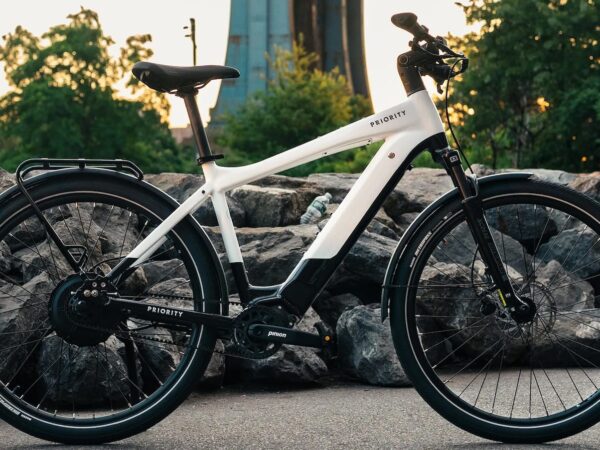 Priority Skyline Low-Maintenance eBike