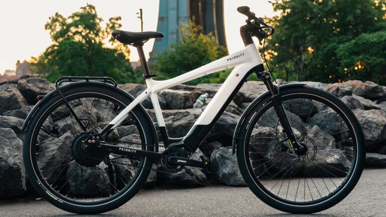 Priority Skyline Low-Maintenance eBike
