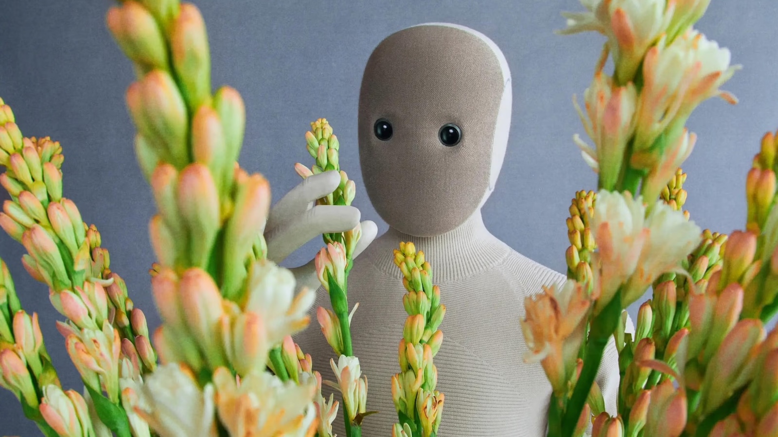 NEO Home Robot | Key Features, Price & Alternatives