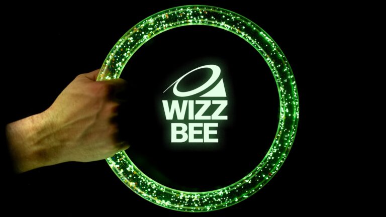WIZZBEE Throwing Disc