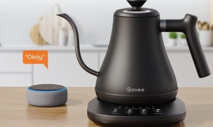 Govee Smart Kettle