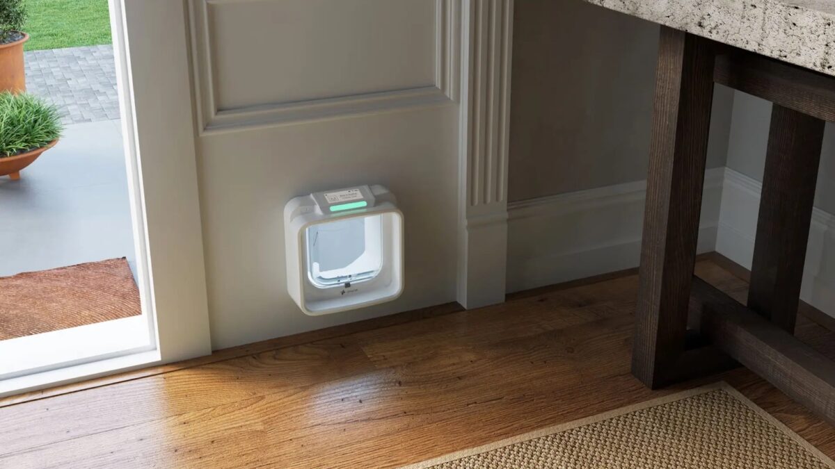 The Flappie AI-powered cat door—now OnlyCat—wants to end dead mouse “gifts”