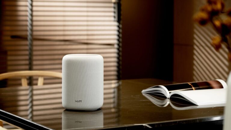 MOV-1 Ceramic Audio System | Key Features, Price & Alternatives