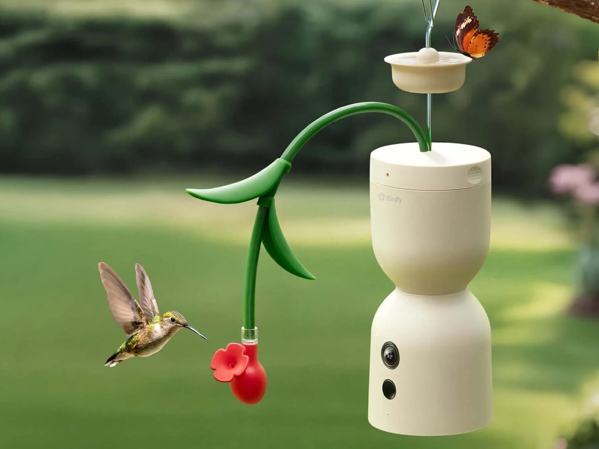 Birdfy Hum Bloom Smart Bird Feeder