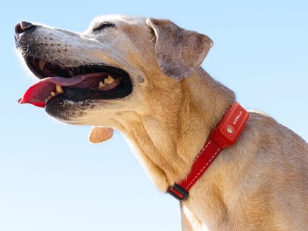 SATELLAI Collar Go Smart GPS Dog Collar
