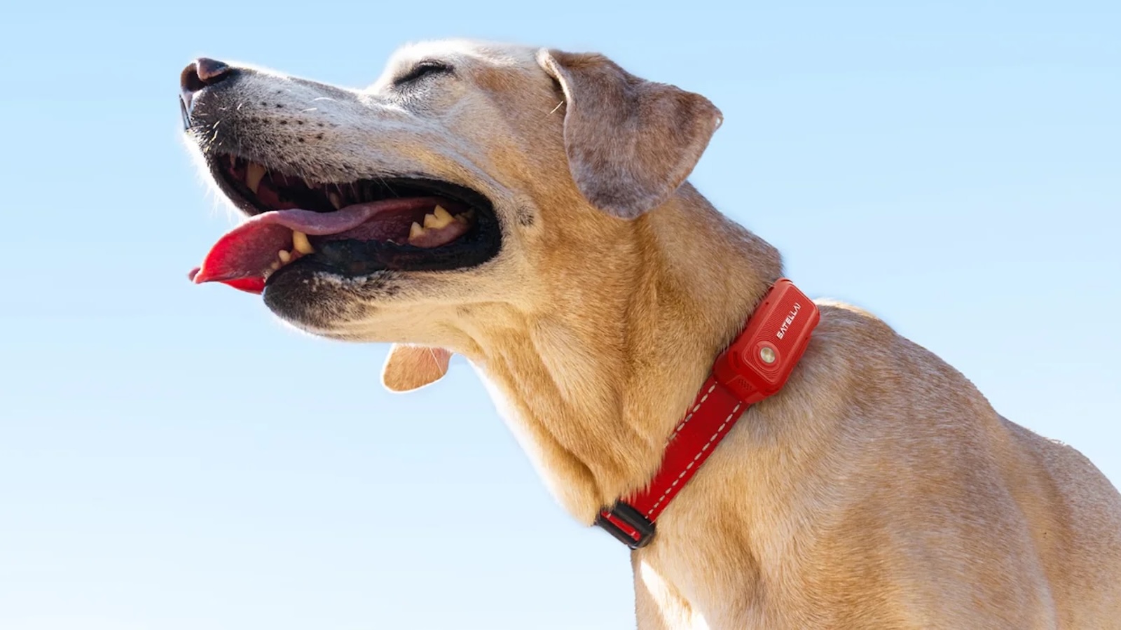 SATELLAI Collar Go Smart GPS Dog Collar