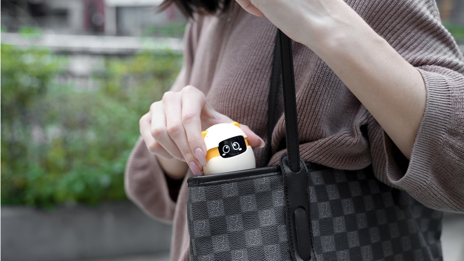 Sweekar AI Pet Companion | Key Features, Price & Alternatives