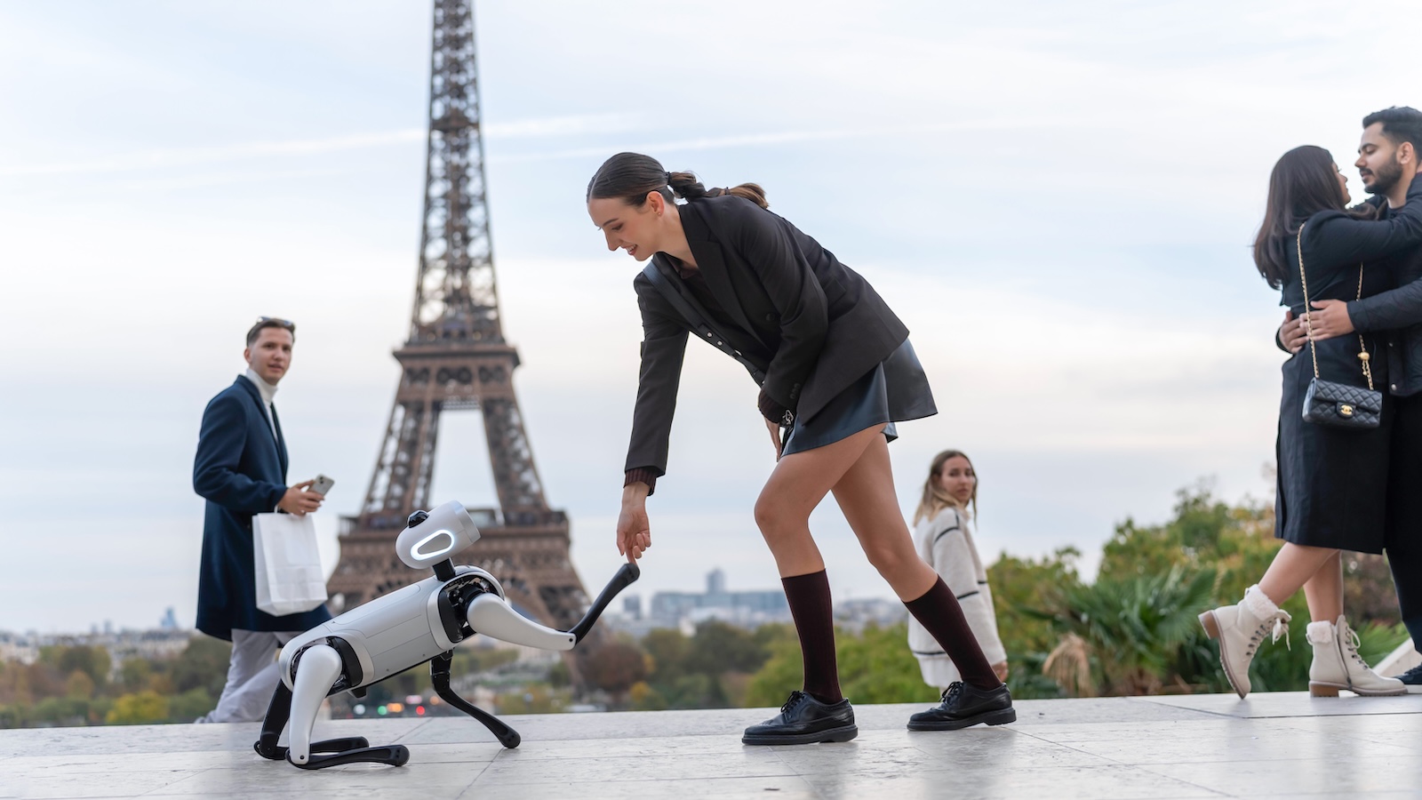 Vbot Robotic Dog | Key Features, Price & Alternatives