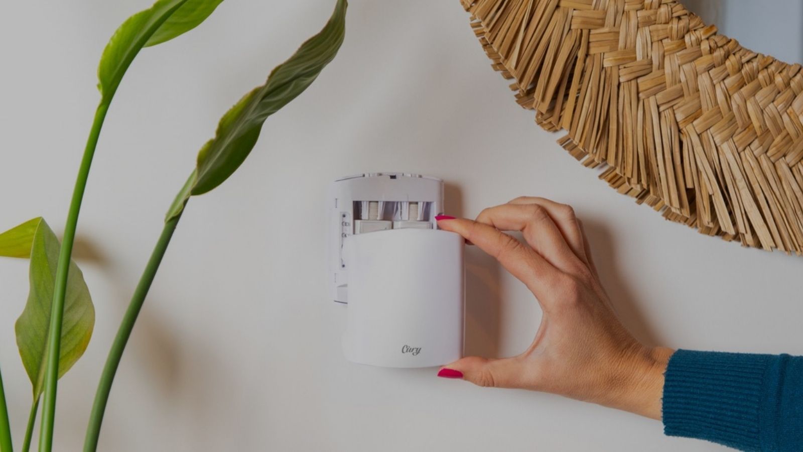 Cury Diffuser + Shelly Fragrance + Amber Dusk