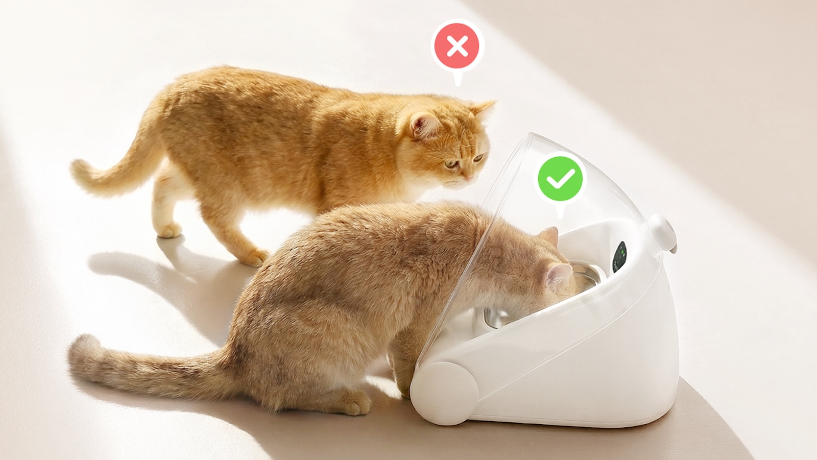 finally, a smart feeder that understands multi-cat chaos — Gadget Flow