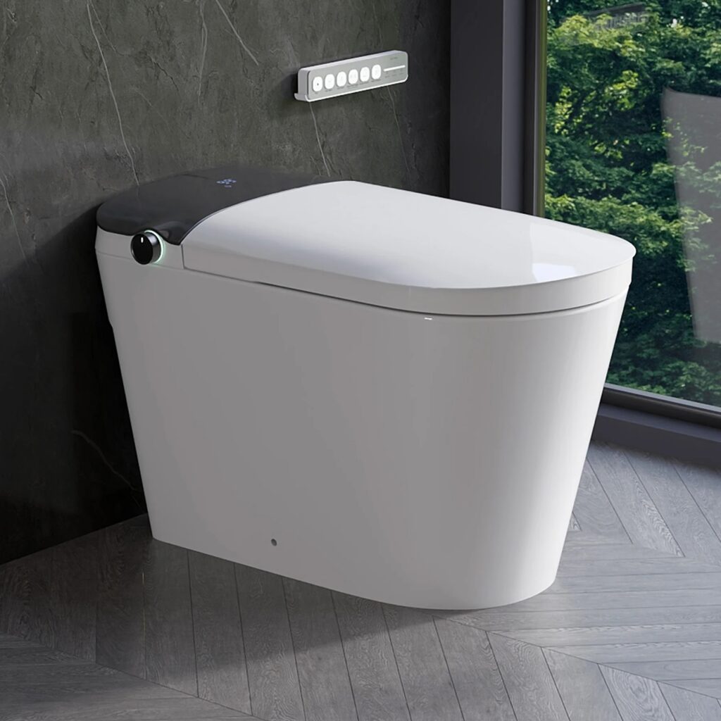 DV-1S0442-V3 smart toilet review