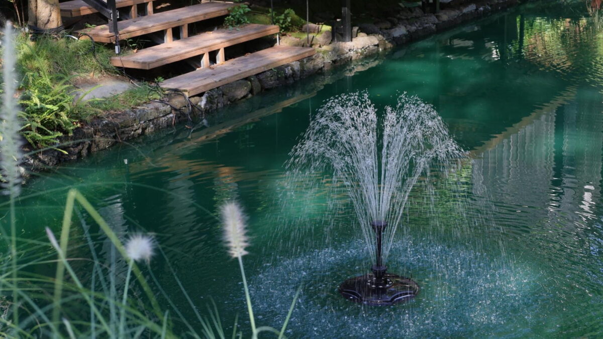 The Poposoap Wildlife Observation Water Kit turns your backyard pond into a mini nature show
