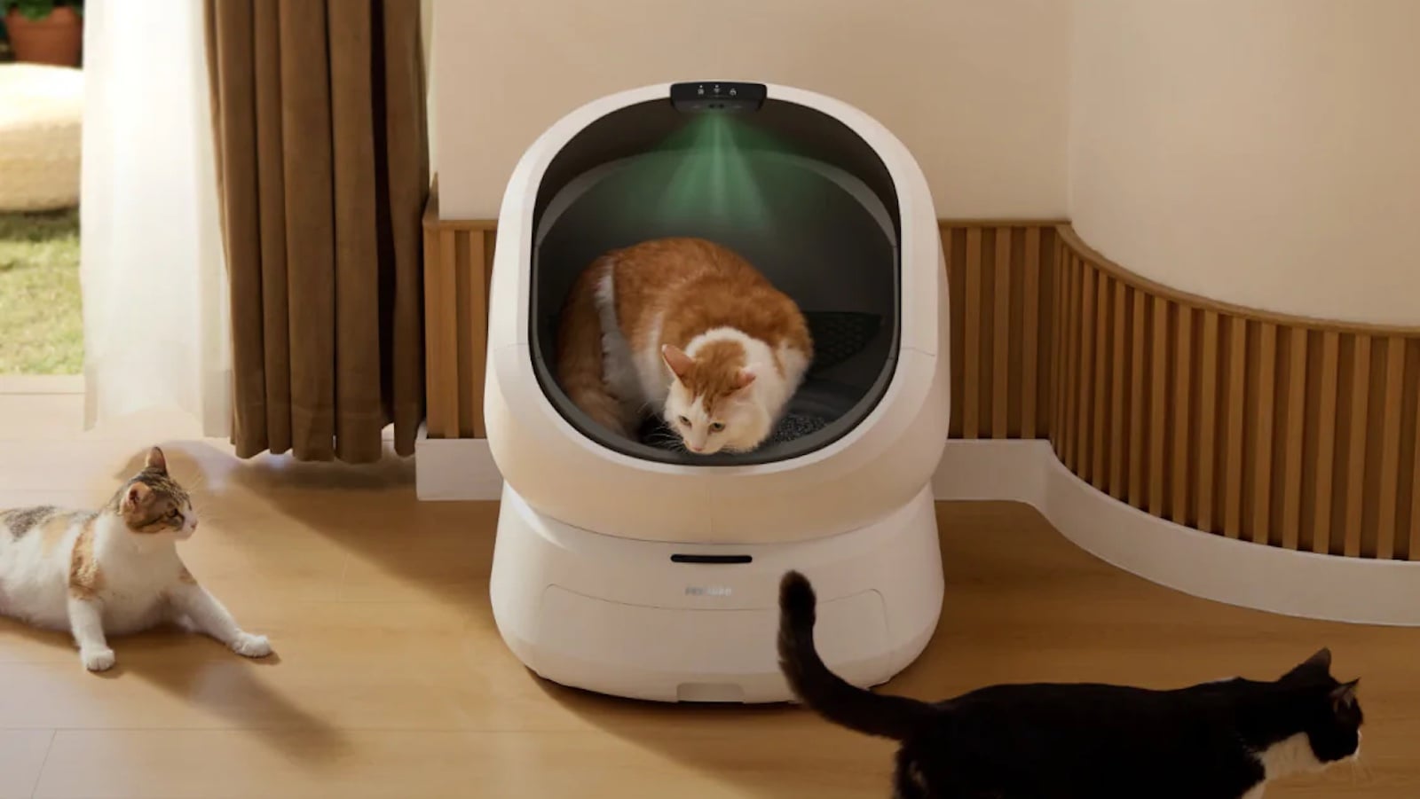 Petlibro Luma Smart Litter Box analyzes your cat’s waste
