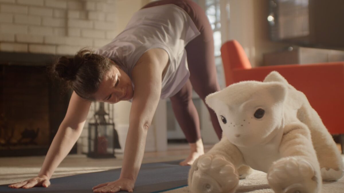 iRobot’s co-founder thinks robot companions are the future — and I get why