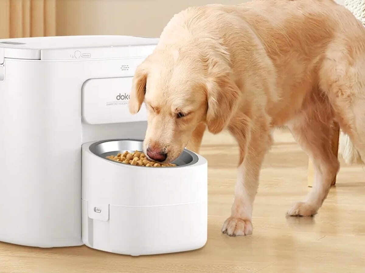 Dokoo Automatic Dog Feeder