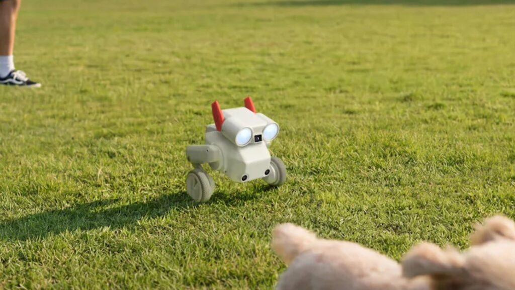 Mondo Robotics Beni