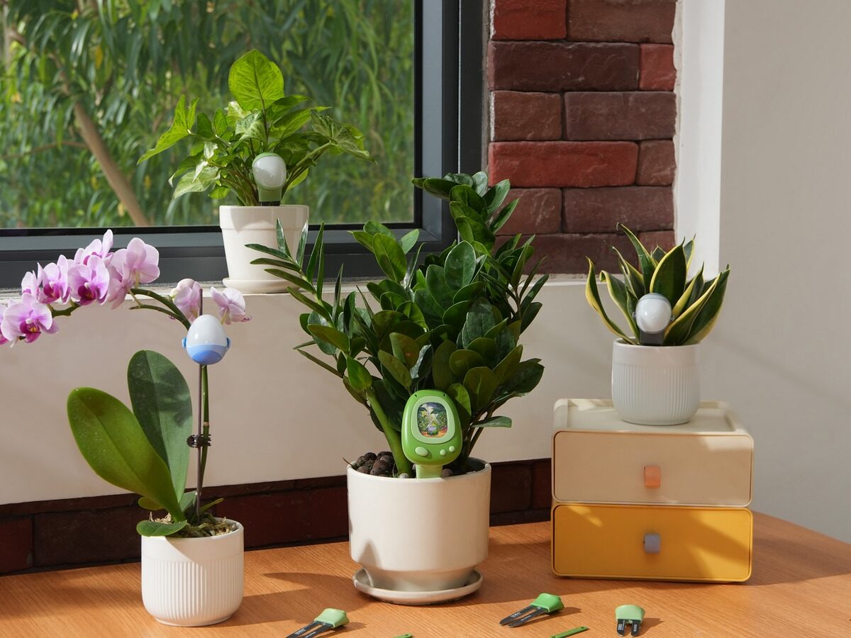 PlantSenso AI Plant Sensor