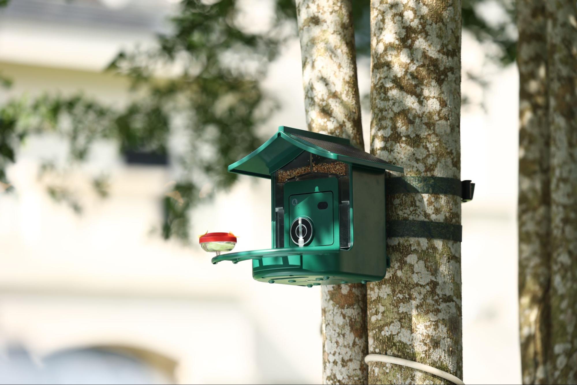A 4G smart bird feeder built to go wherever the birds are — Gadget Flow